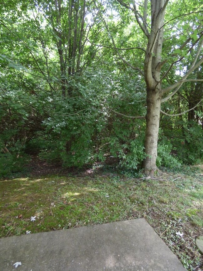 Building Photo - Beautiful Townhouse! All Electric, Washer/...