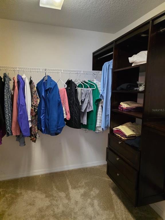 Building Photo - 5160 Ambergris Loop