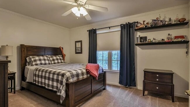 Building Photo - 4165 Cartier Dr