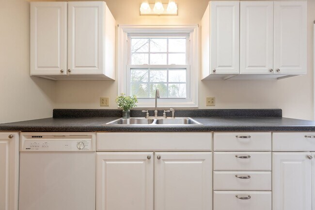 Building Photo - Spacious Ranch Close to Campus