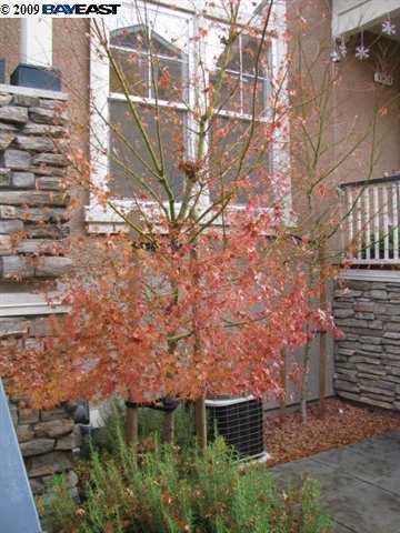 Building Photo - 37421 Glenbrook Ter