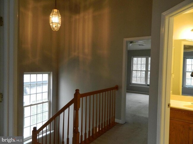 Building Photo - 7574 Great Swan Ct