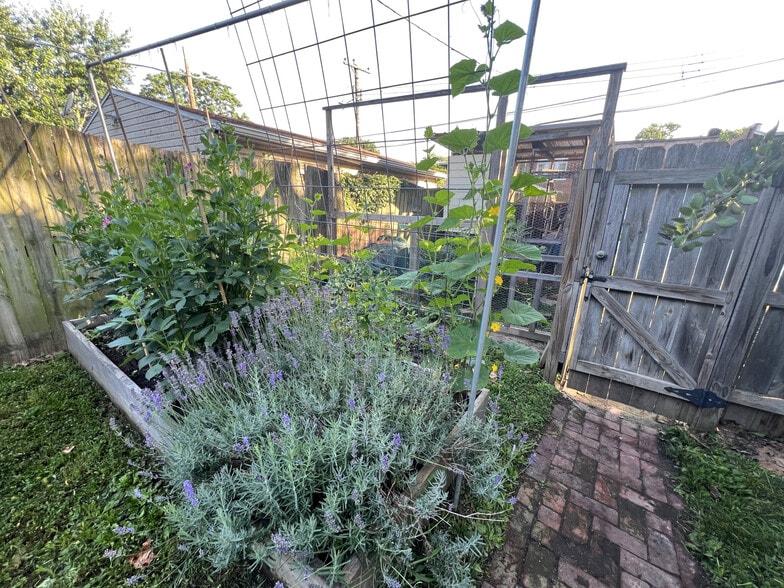Garden - 3817 Lafayette Ave
