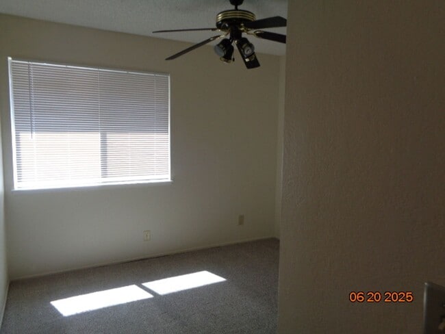 Building Photo - 272 Newport Cir