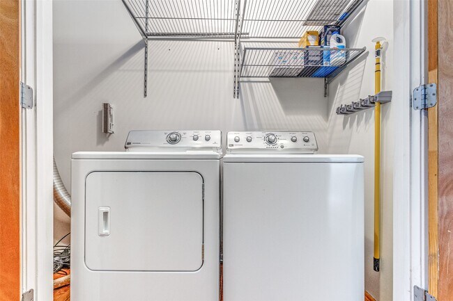 Building Photo - 1312 Live Oak St