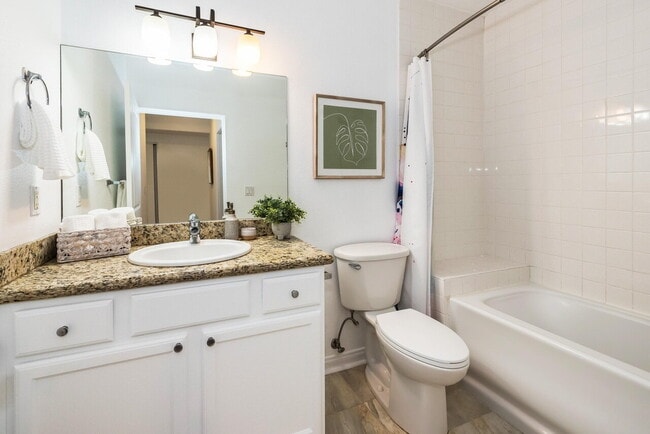 Building Photo - "Chic 1-Bed Retreat on Castillo: 870 Sq Ft...