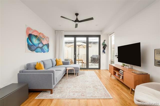 Building Photo - 1569 Utica St