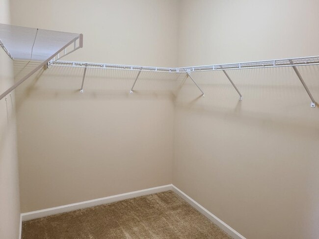 Building Photo - 7327 San Vista Dr