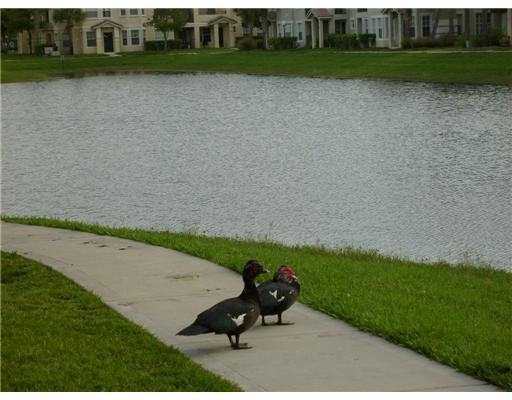 Building Photo - 3/2 Lake available in North Lauderdale