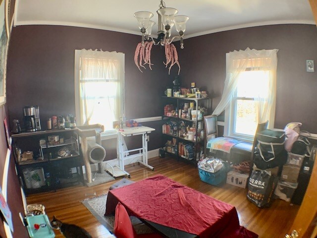 Building Photo - 200 Hyde Park Ave