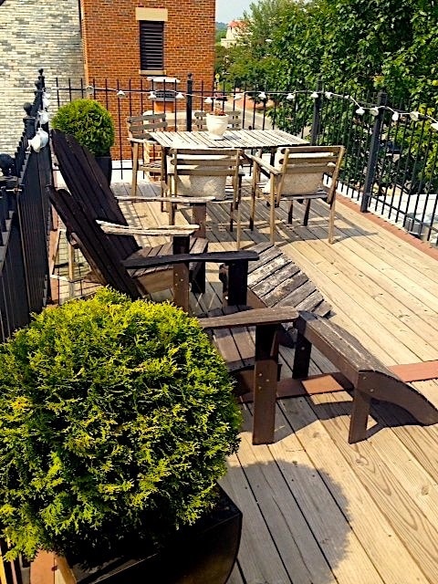 3rd fl private deck - 301 M St NW