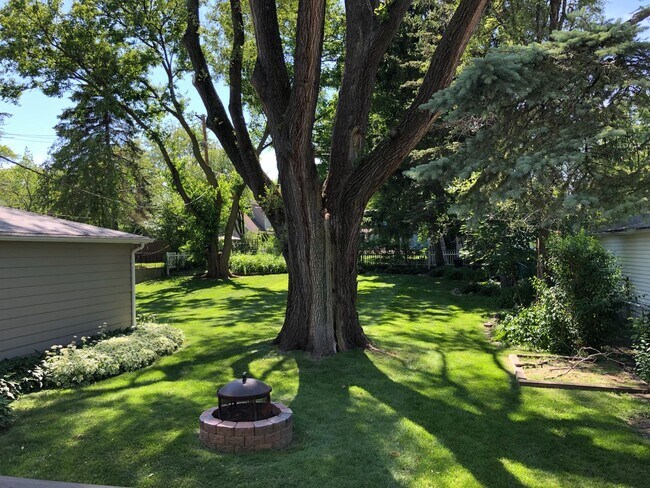 Building Photo - Well Maintained 3Bed/2Bath Single Family HUGE Backyard!