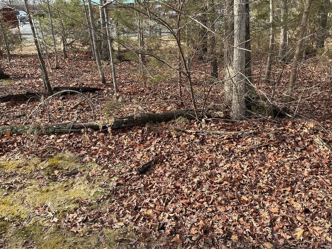 Building Photo - Welcome home!  Sought after Lake of the Woods!