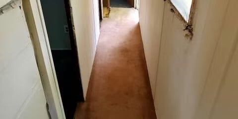 Building Photo - 509 Homestead Dr