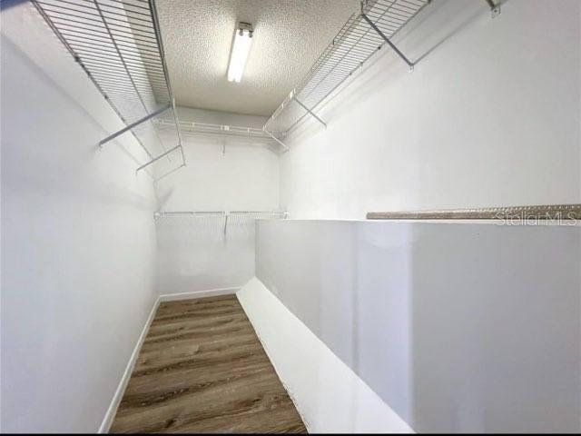 Building Photo - 1668 Spicewood Ln