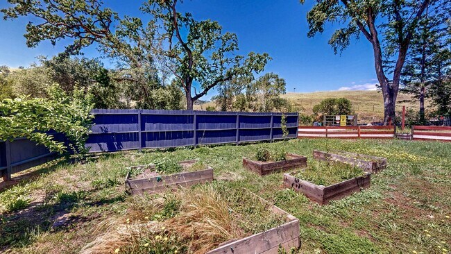Building Photo - 5326 Briggs Ranch Rd