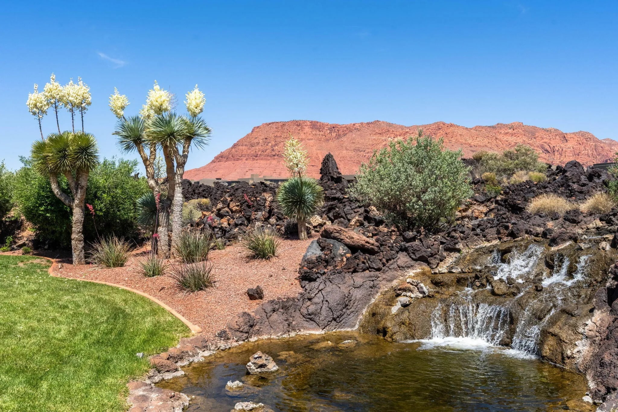 Desert Botanical Garden Meets Cascading Waterfall - 1500 E Split Rock Dr