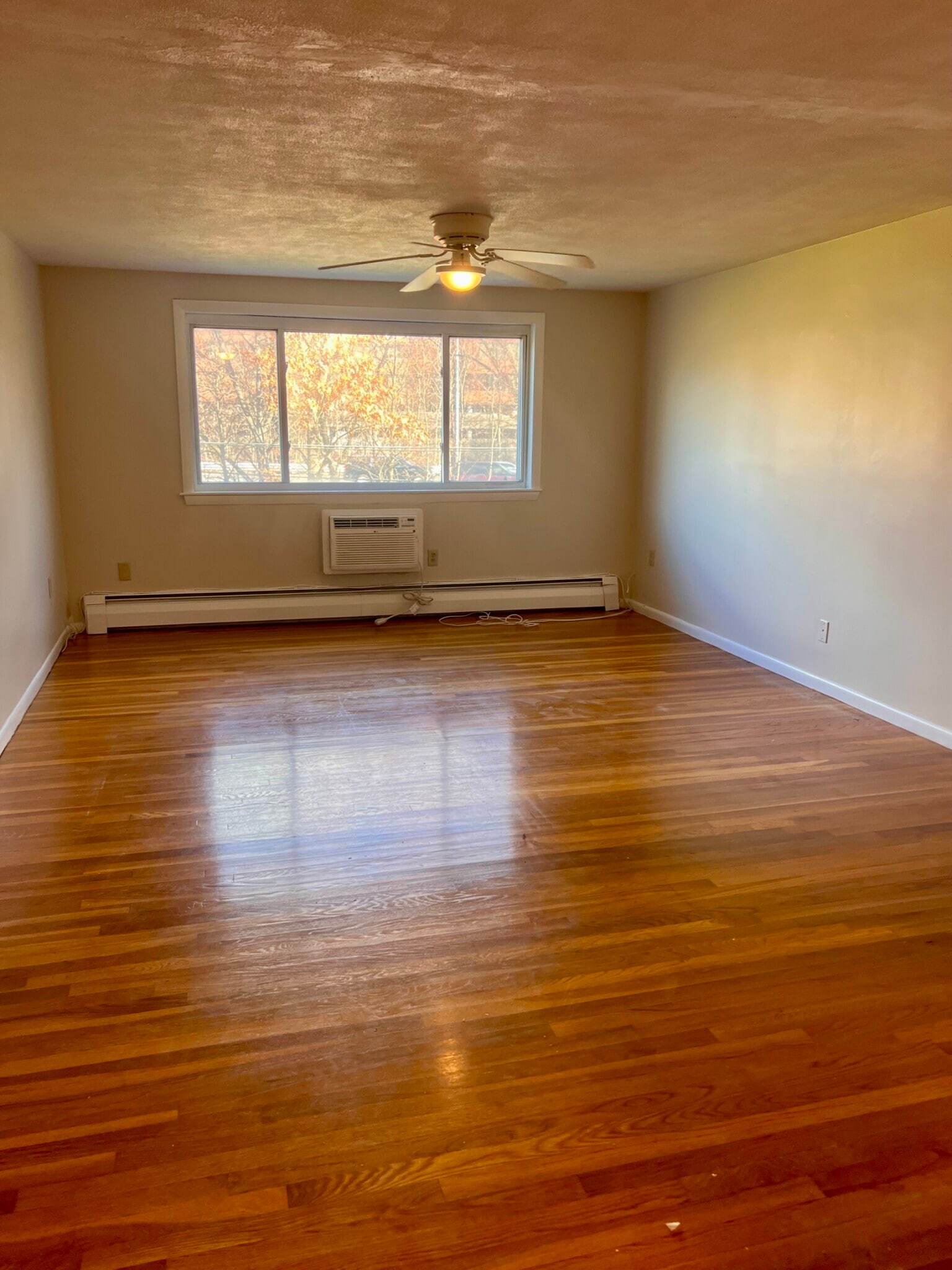 Nice sized living room with gleaming hw floors - 4 Albert Dr