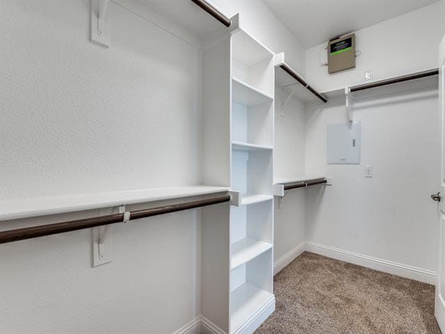 Building Photo - 2523 Linwood Dr