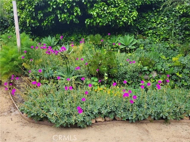 Building Photo - 923 Poli St