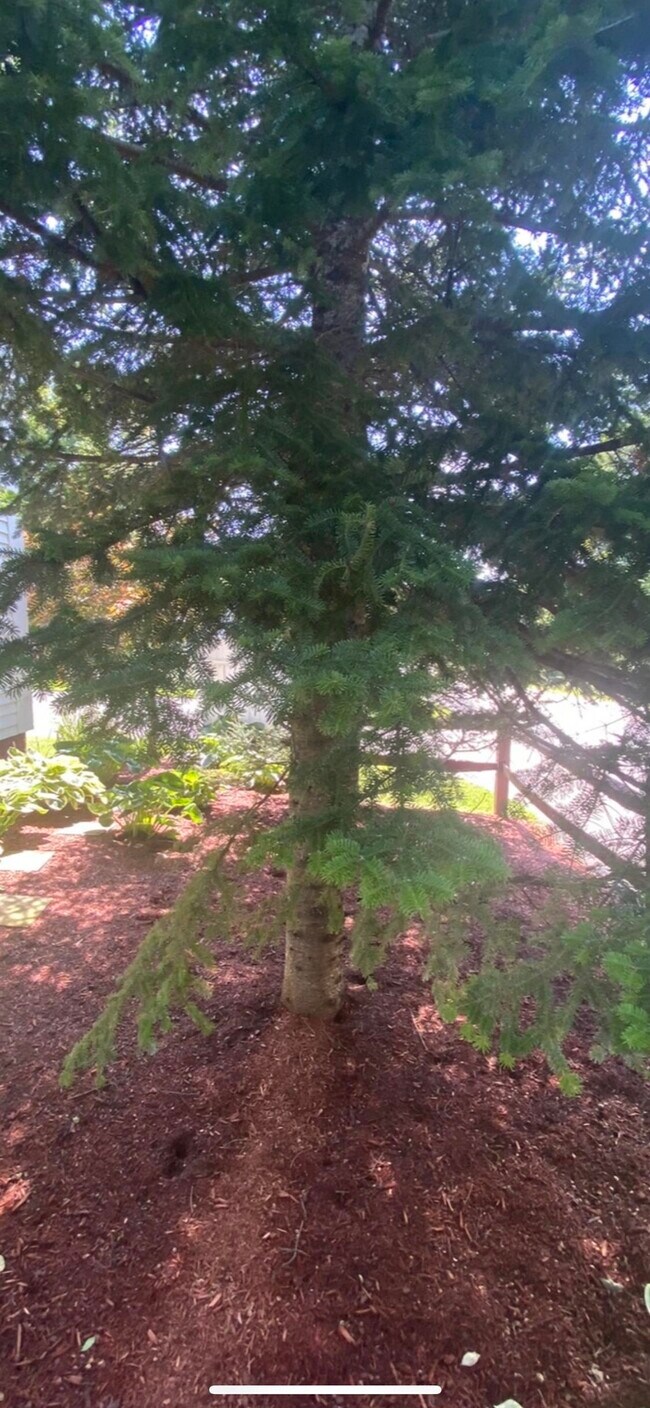 Building Photo - 36 Western Ave