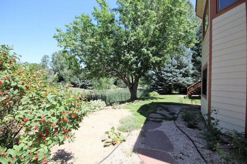 Building Photo - 6236 Buchanan St