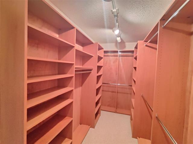 Building Photo - 9909 Belfort Dr