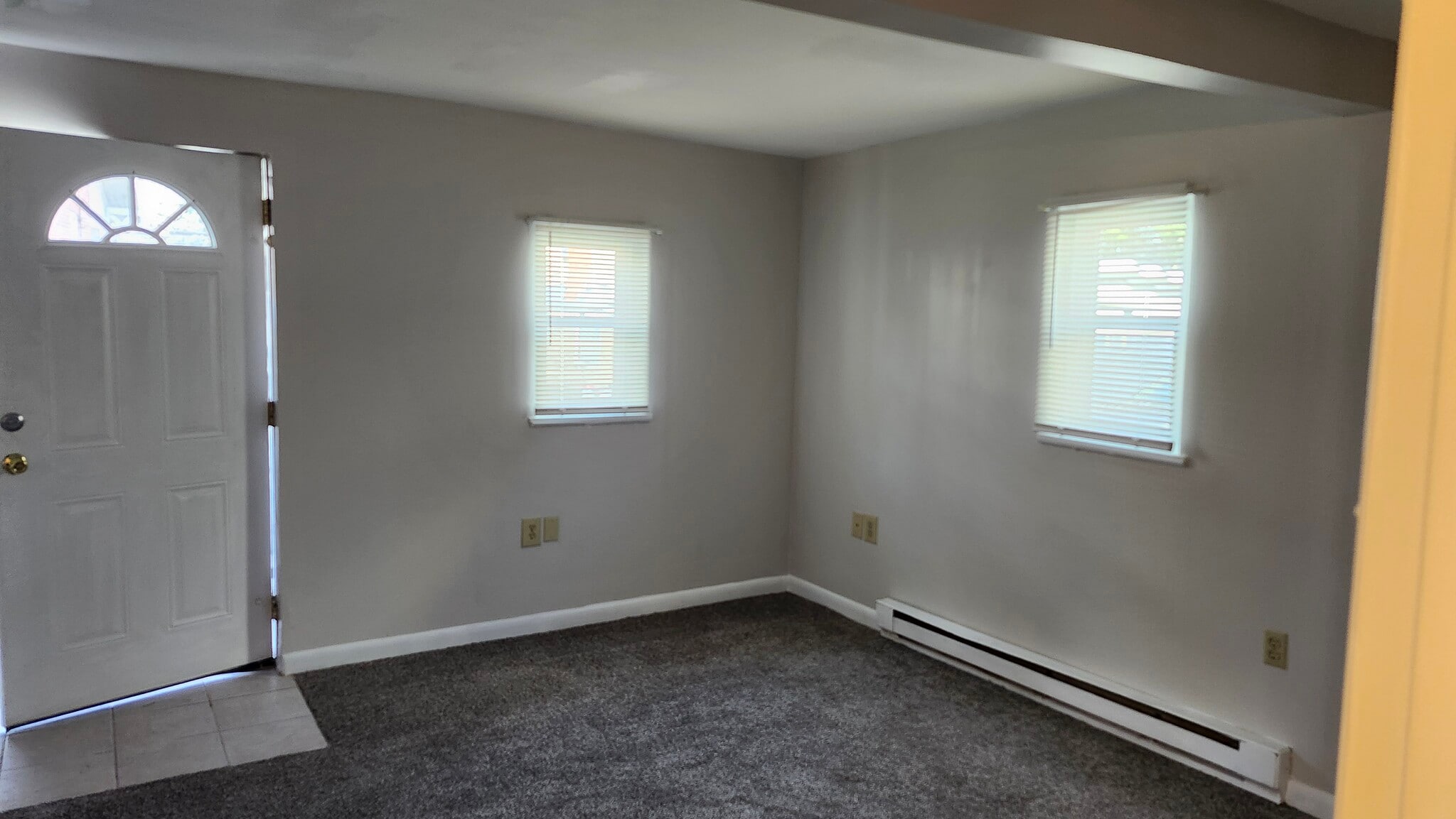 LR view from Bdrm - 317 Clearfield Ave