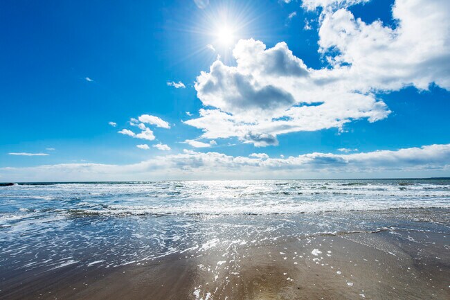 Building Photo - 22 Crescent Surf Rd