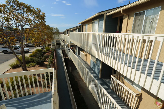 Building Photo - Sea Vale Bluff Apartments