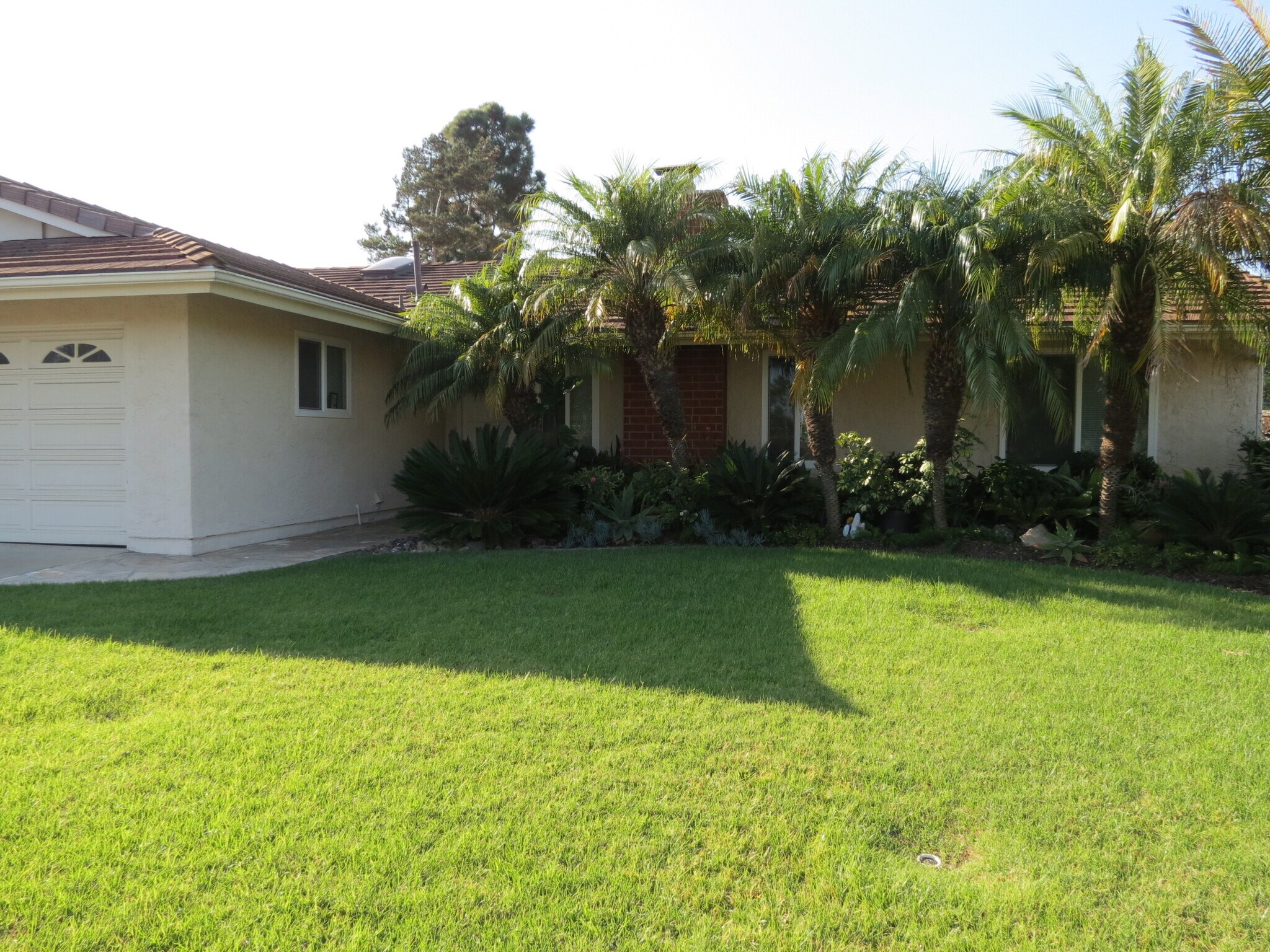 Building Photo - 2414 Sonora Ct
