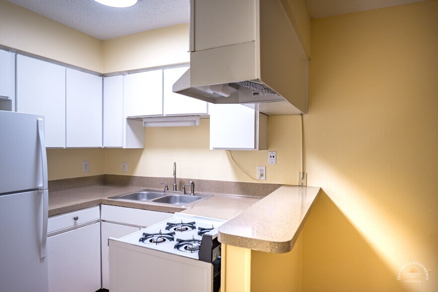 Building Photo - Montage Apartments