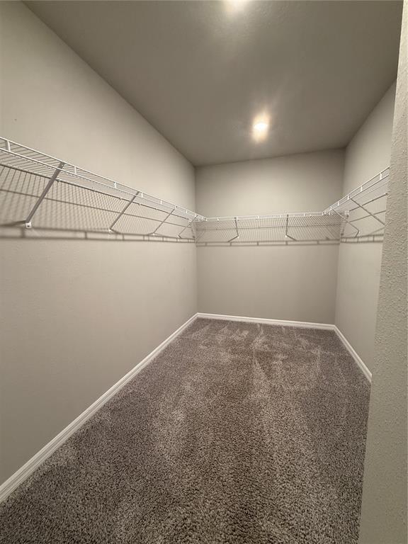 Building Photo - 17253 Cagan Crossings Blvd