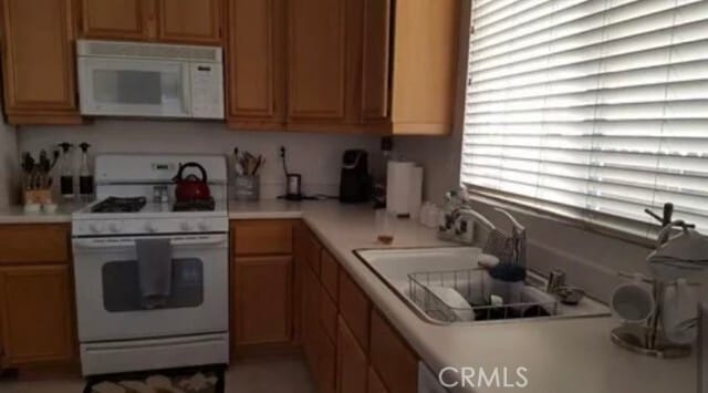 Building Photo - 14307 Grayfox Ln