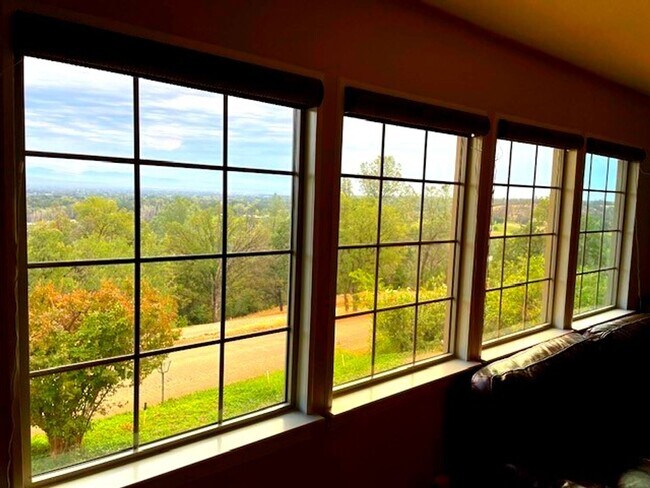 Building Photo - This Anderson Home is a Must See! Amazing Views of Lassen!