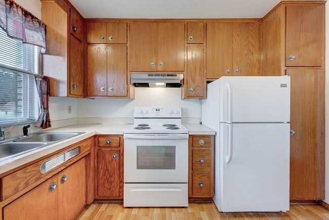 Building Photo - Edgecumbe Terrace