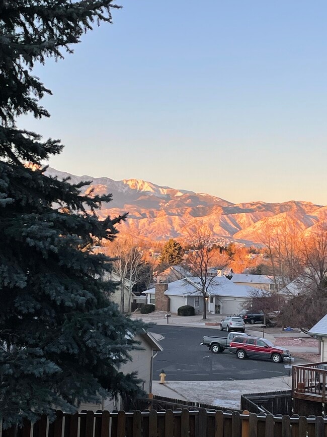 Building Photo - 3735 Misty Meadows Dr