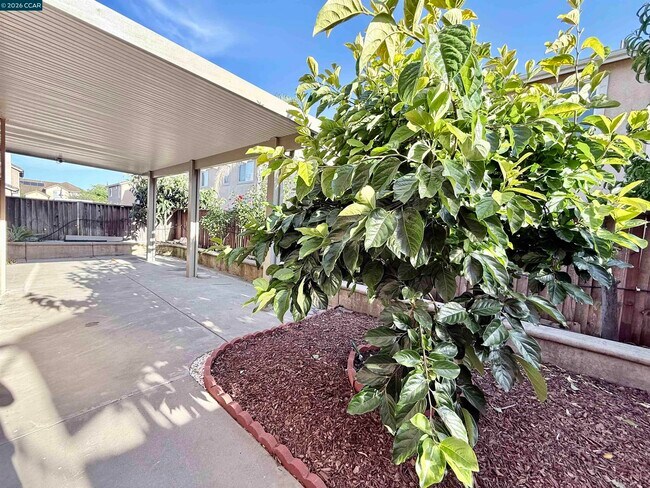 Building Photo - 4311 Pine Creek Cir