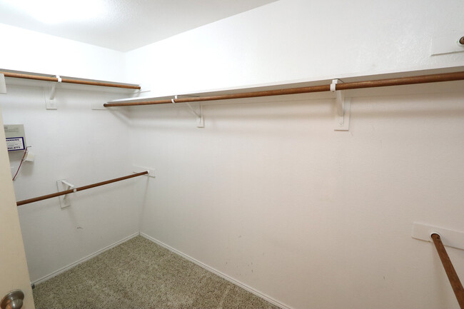 Building Photo - 1000 Warbler Ln