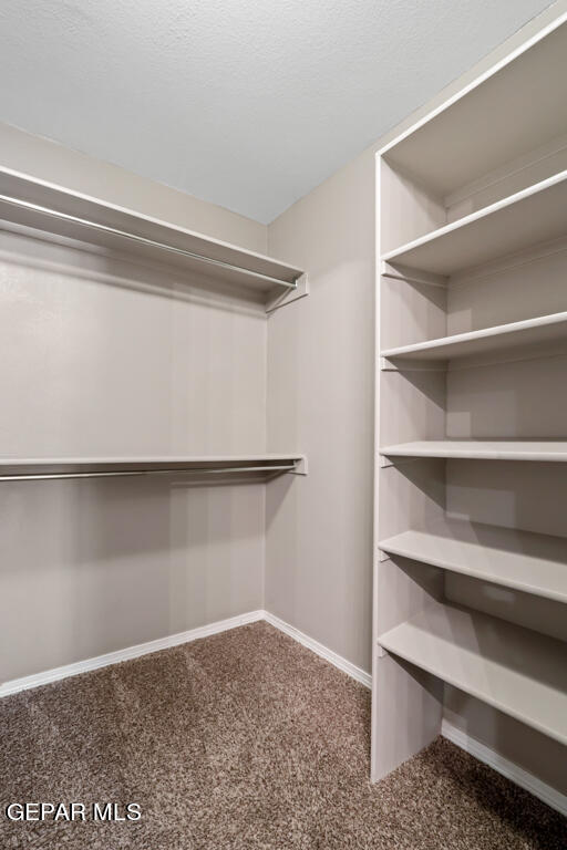 Building Photo - 1908 Thomas Lackland St