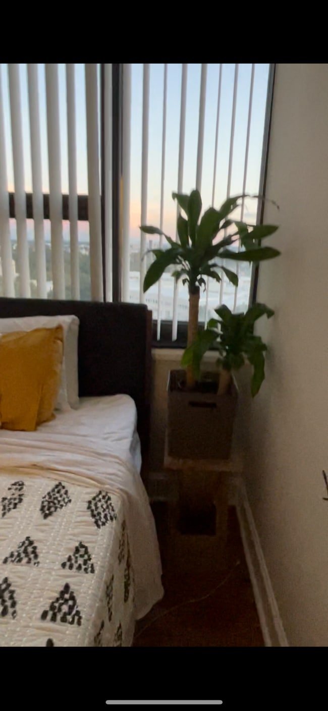 Building Photo - 1100 Wheat St