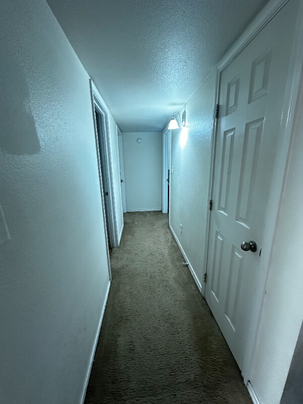 Building Photo - 852 W Vanderbilt St