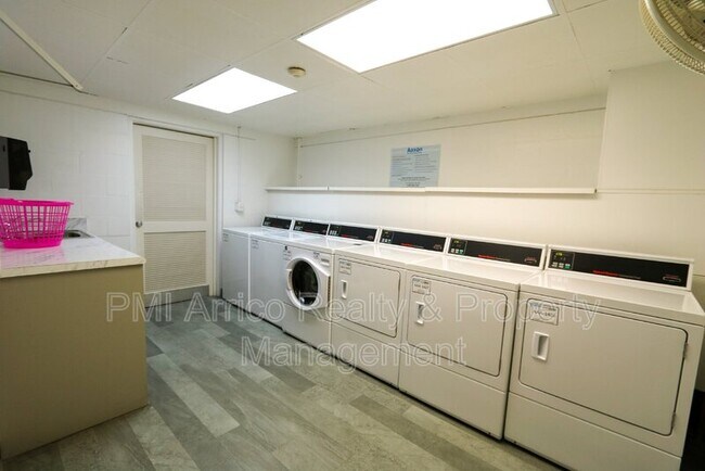 Building Photo - 3325 Bayshore Blvd