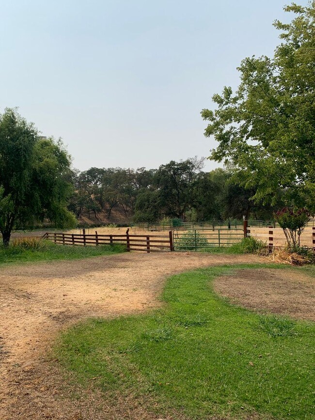 Building Photo - Butte Valley 3 bed 2 bath home, Privacy, n...