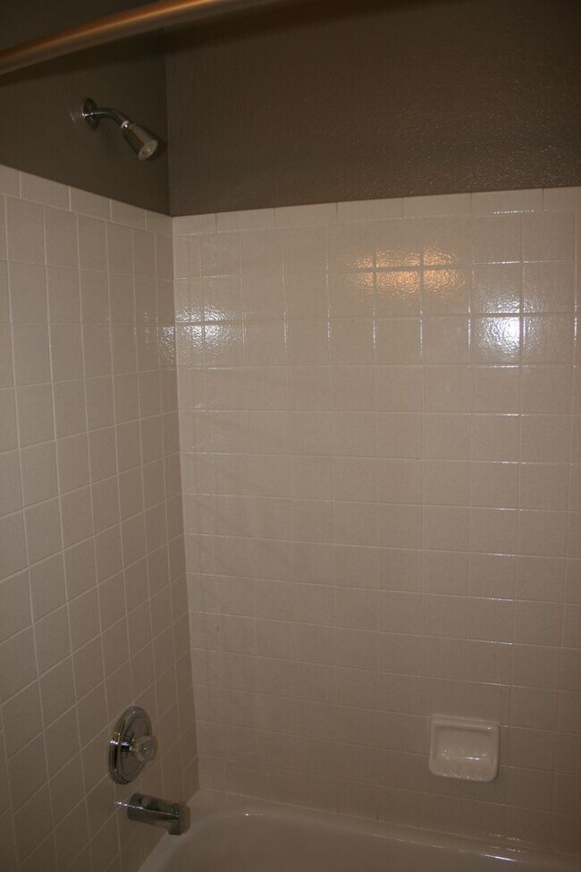 Building Photo - 10748 Appaloosa Ct