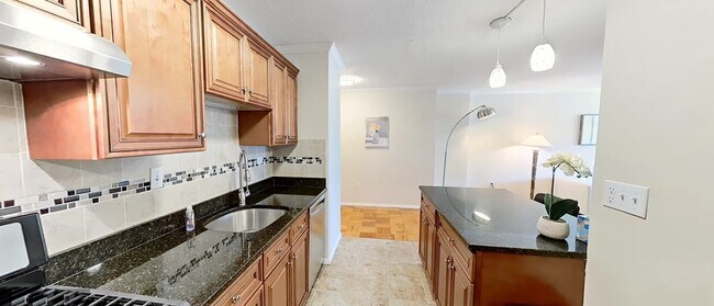 Modern Kitchen with Granite and Stainless Steel Appliance - 2 Hawthorne Pl