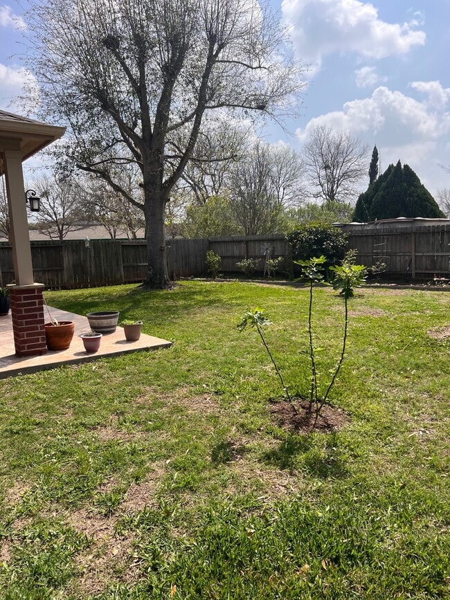 Building Photo - 1142 Knoll Crest Ct