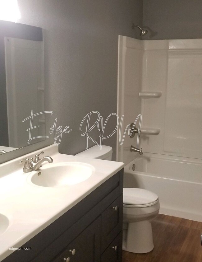 Building Photo - Now leasing for May 2026! Four Bed/One Bath