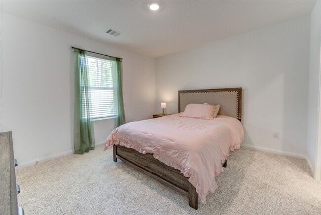 Building Photo - 12339 McCrorey Trails Court