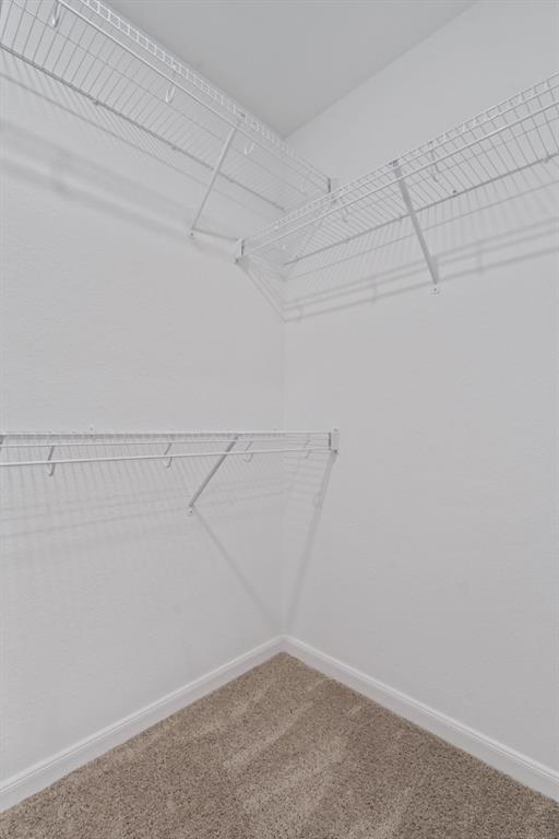 Building Photo - 3886 Trail de Paris